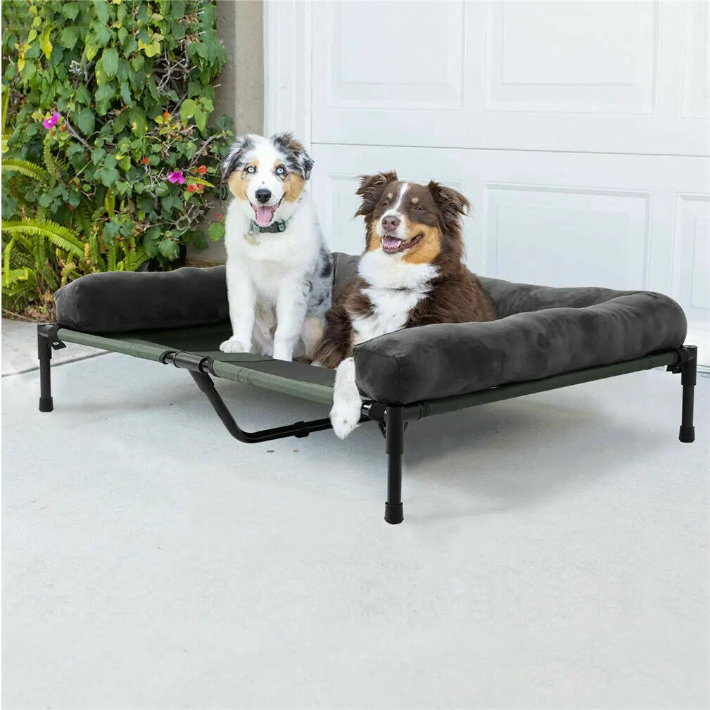 Elevated Pet Lounger Bed