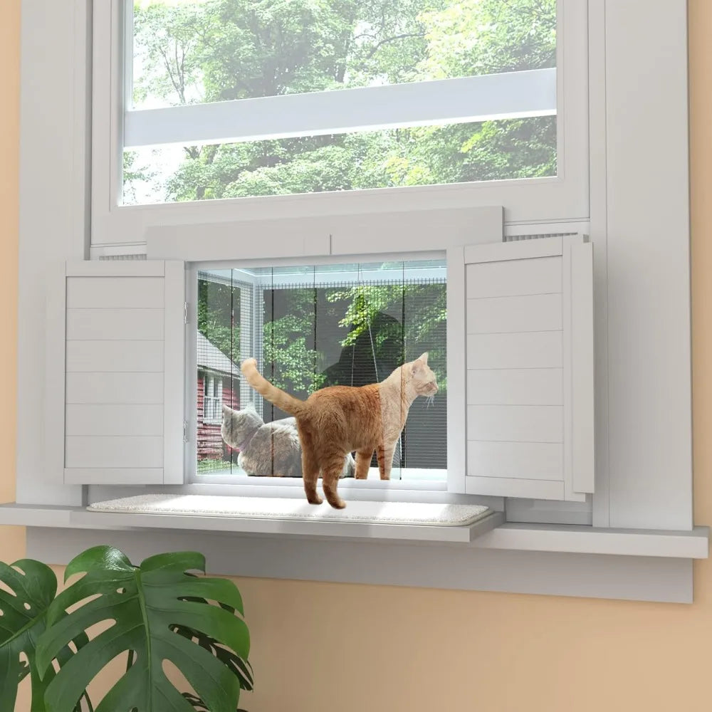 Cat Window Perch
