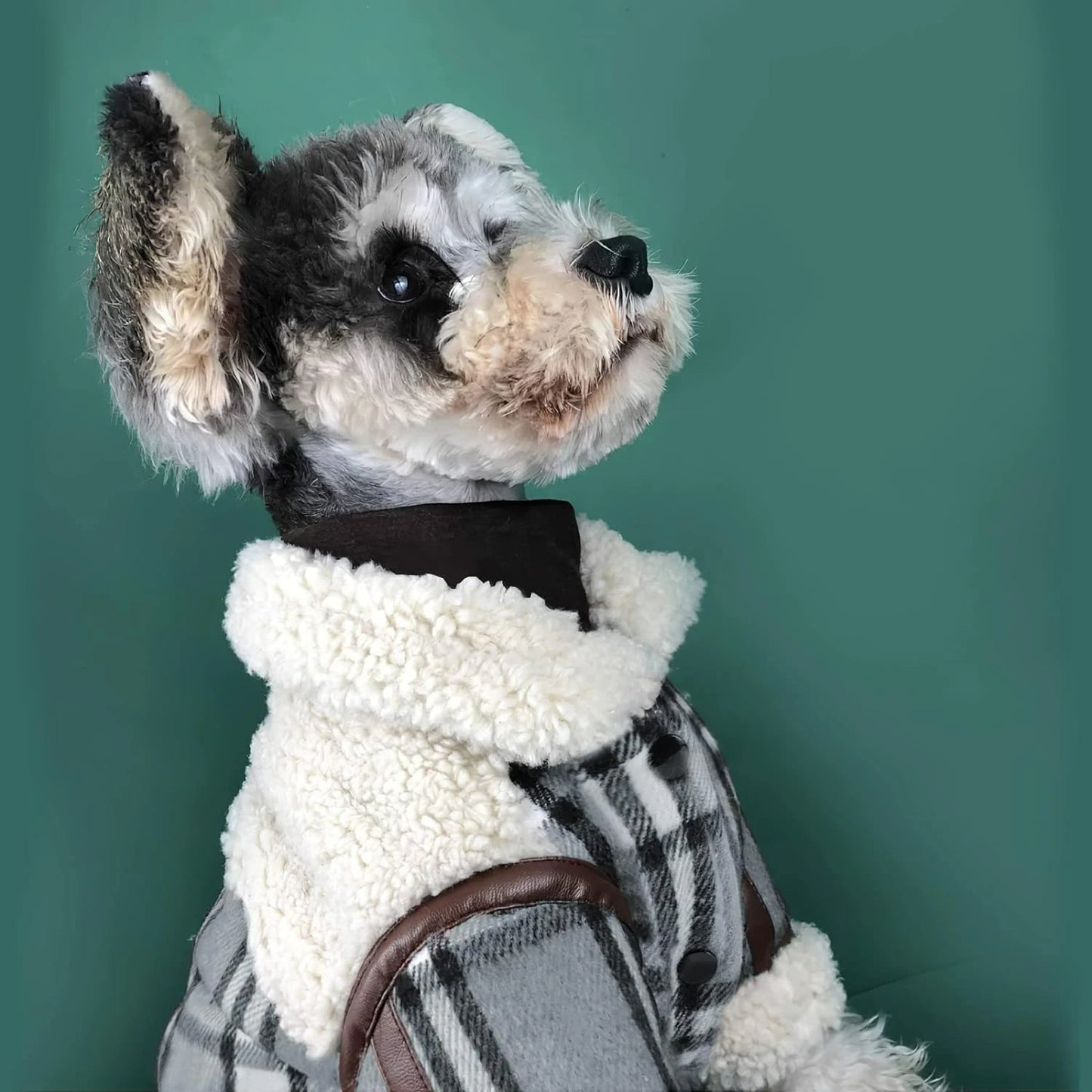 Stylish Black Sweater Jacket for small dogs