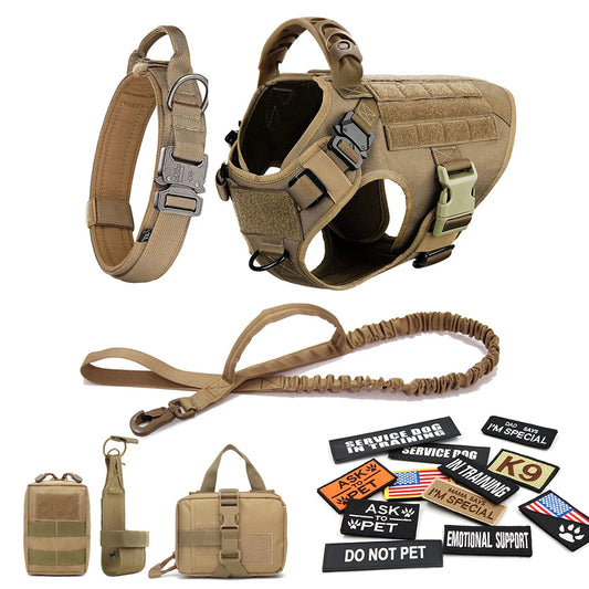 Large Dog Harness, Leash and Collar  with Patches