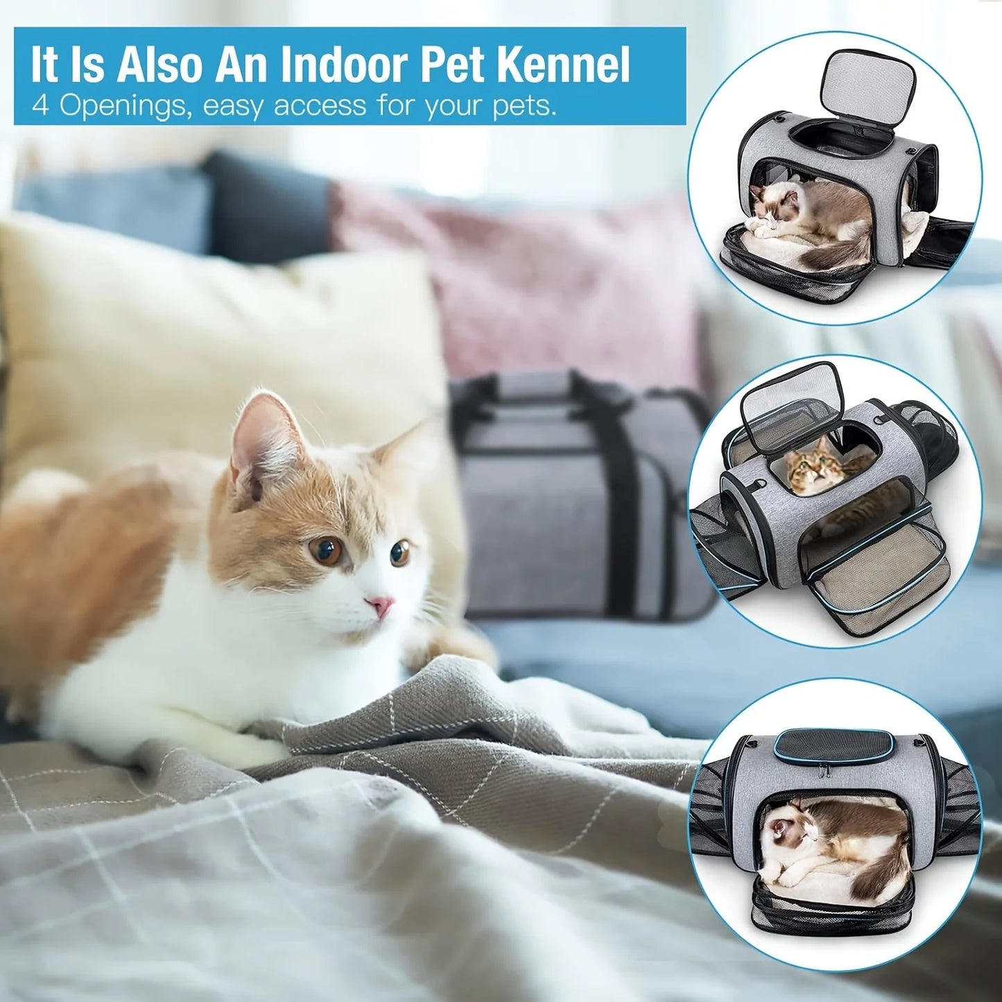 4-Way Expandable Pet Carrier (Airline Approved)