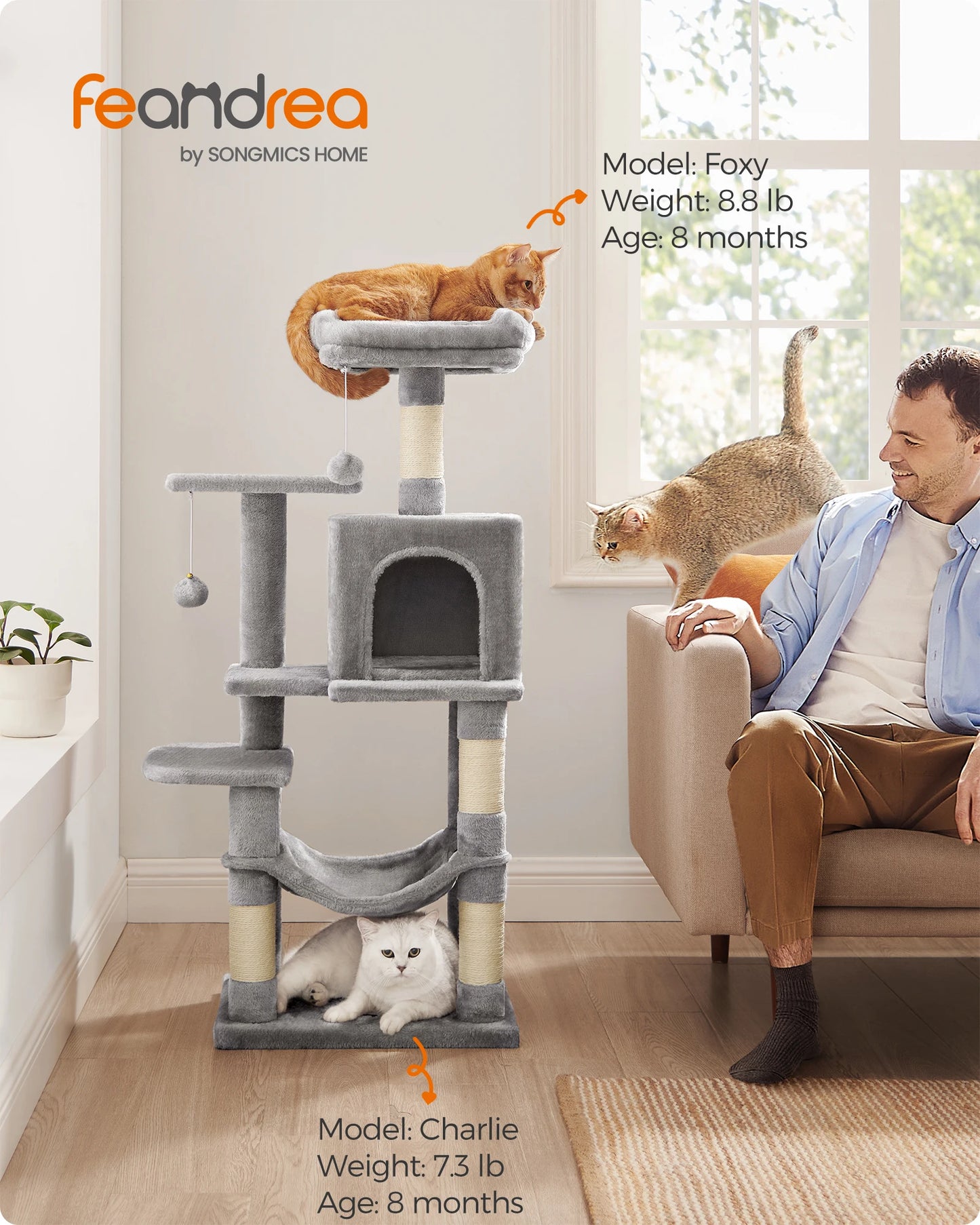 Multi-Level Cat Condo