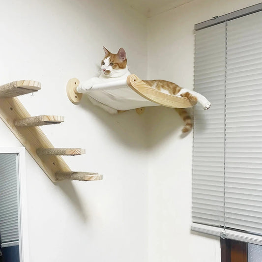 Wall Mounted Cat Hammock and Stairway