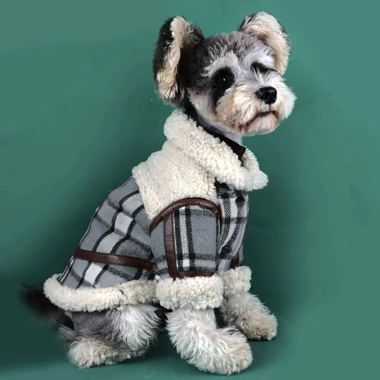 Stylish Black Sweater Jacket for small dogs