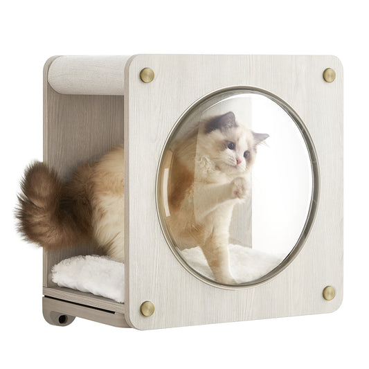 Cat Wall Condo with Hammock and Observation Window,