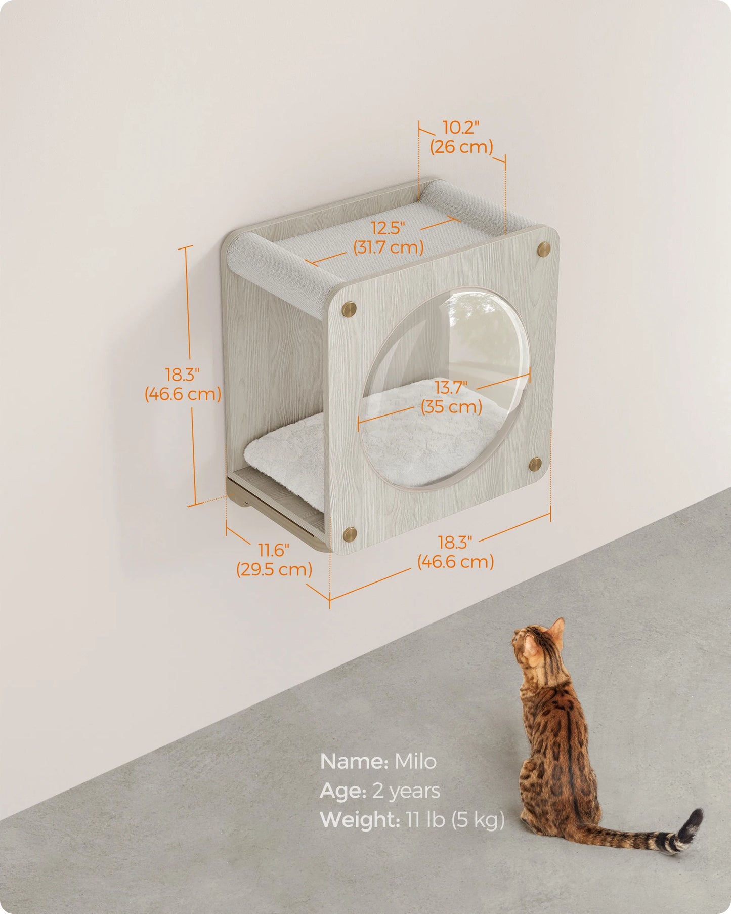 Cat Wall Condo with Hammock and Observation Window,