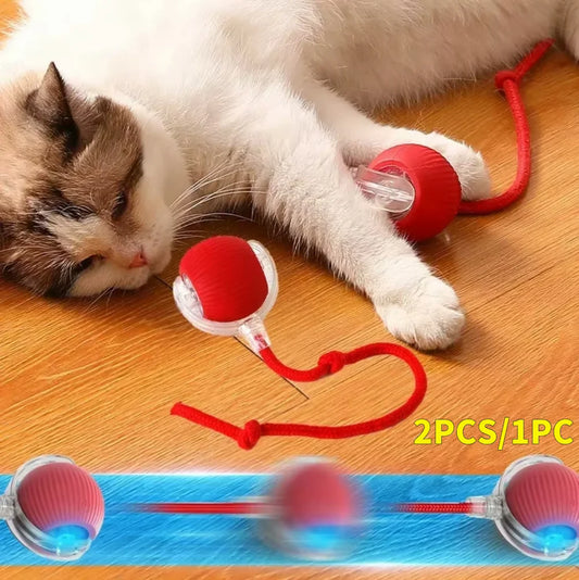 Interactive Automatic Rolling Ball for Cats/Dogs, Rechargeable