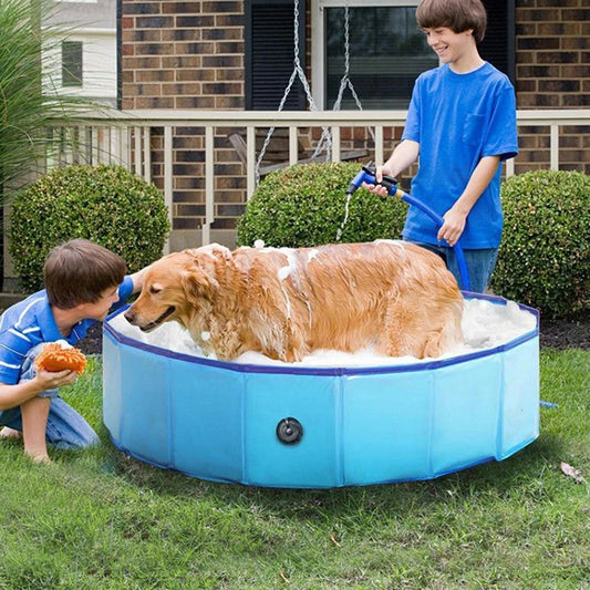 Dog Swimming Pool & Pool Cover