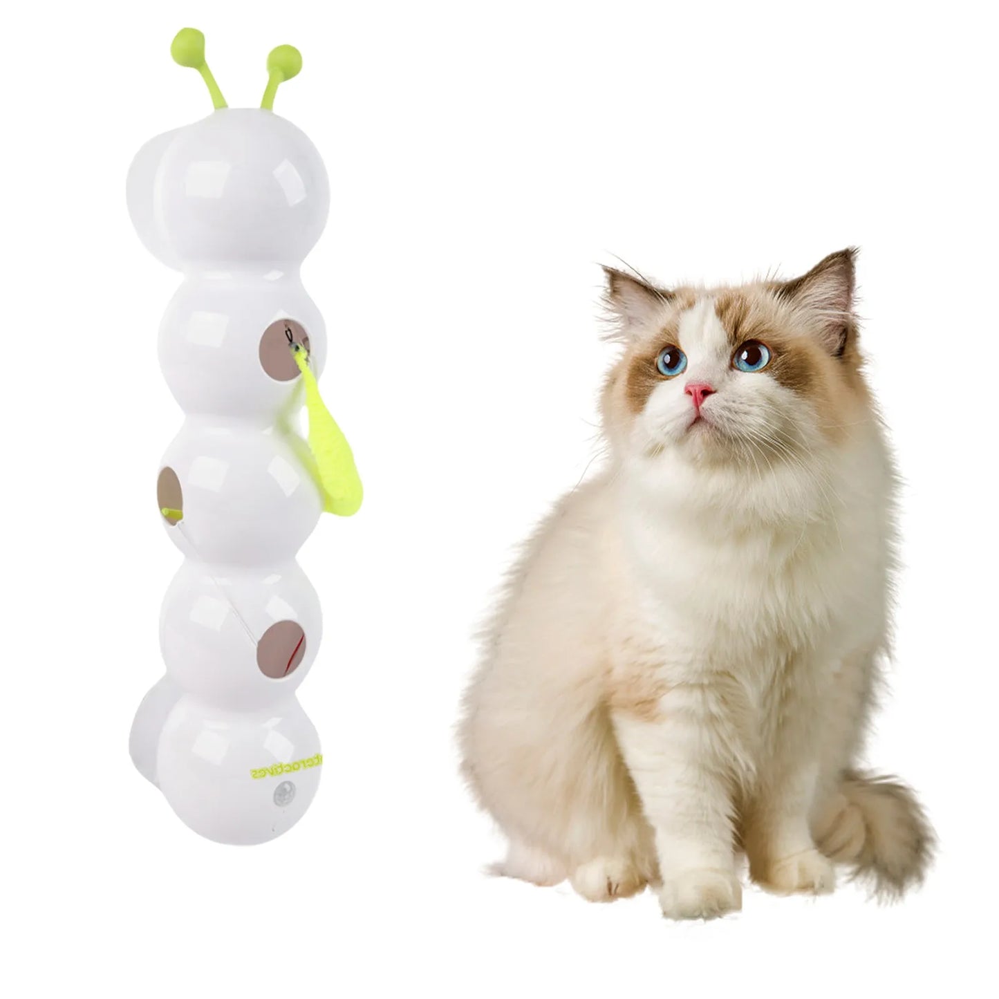 Interactive Caterpillar Cat Toy