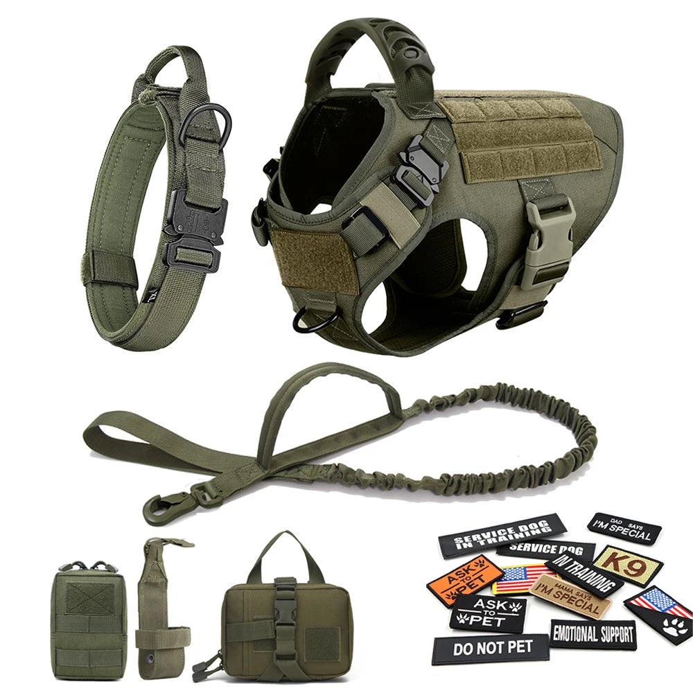 Large Dog Harness, Leash and Collar with Patches