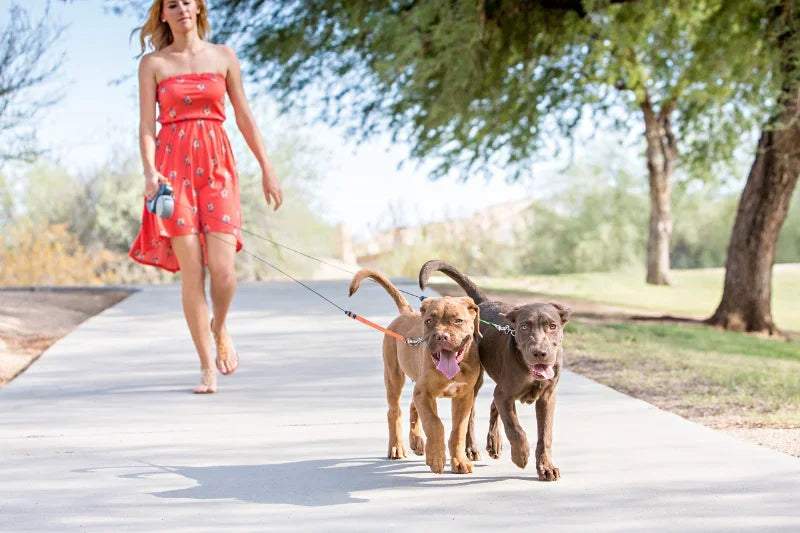 Retractable Dual Dog Leash with LED Light, 360 Swivel-No Tangle