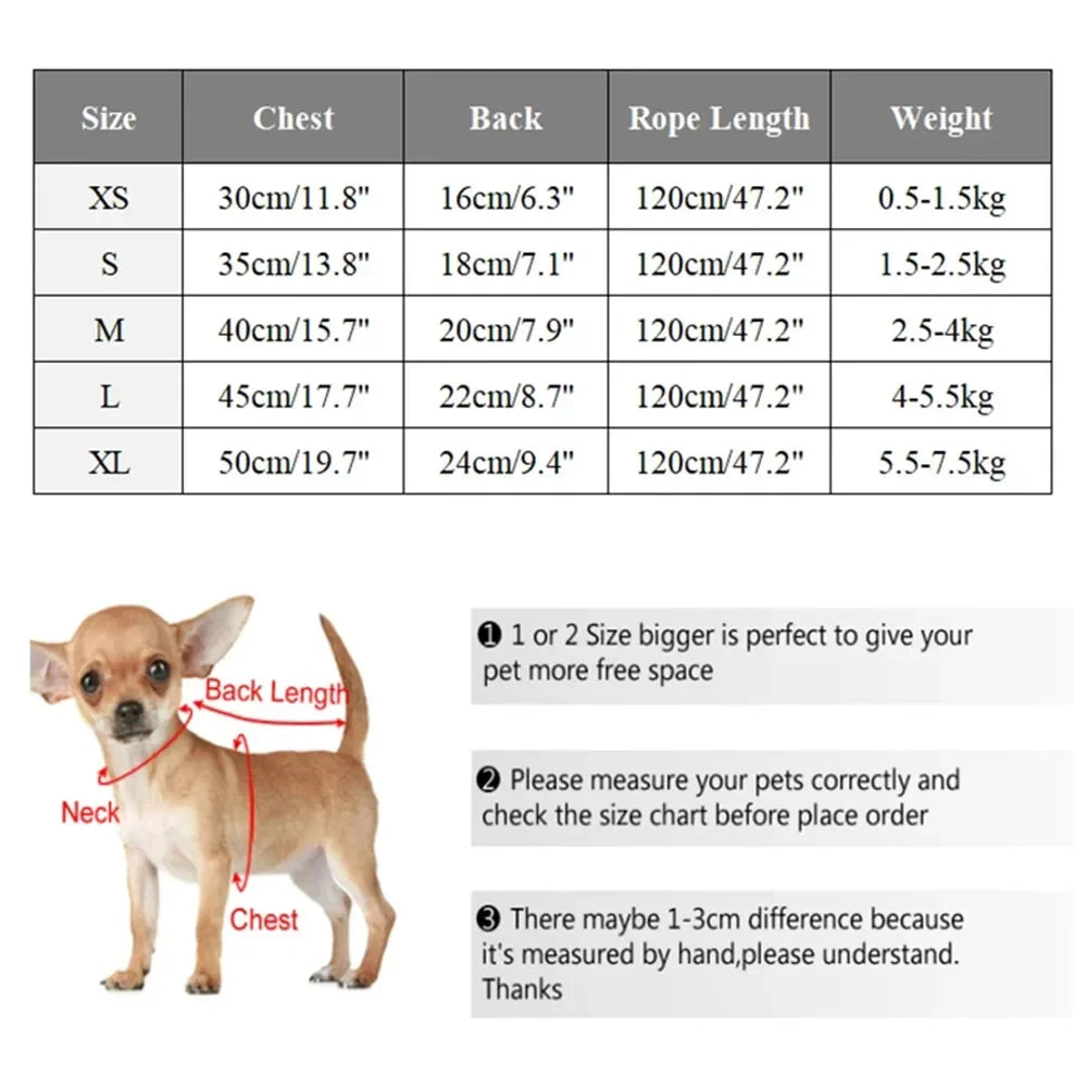 Cartoon Pet Harness, Leash, and Sun Hat Set