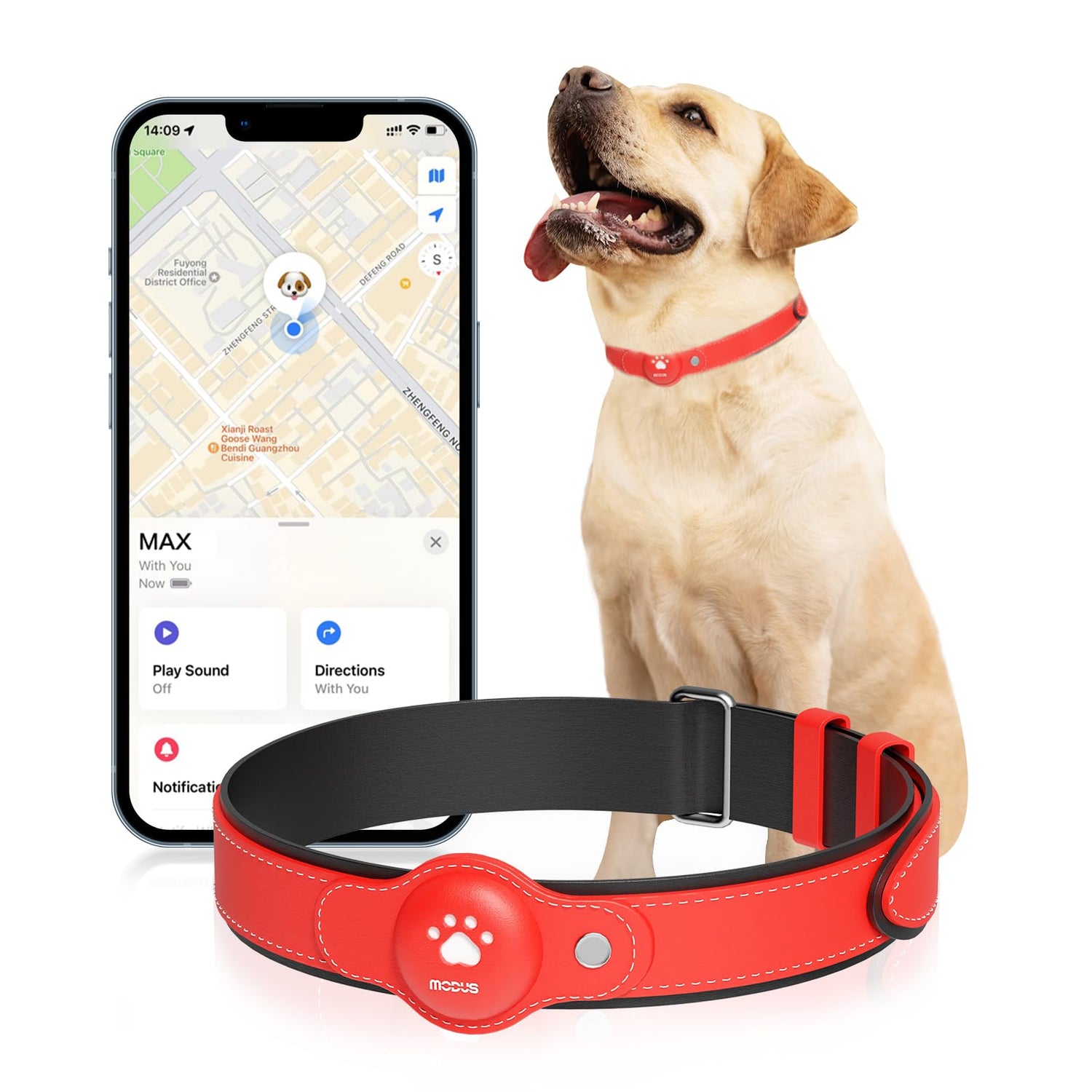 Pet Health