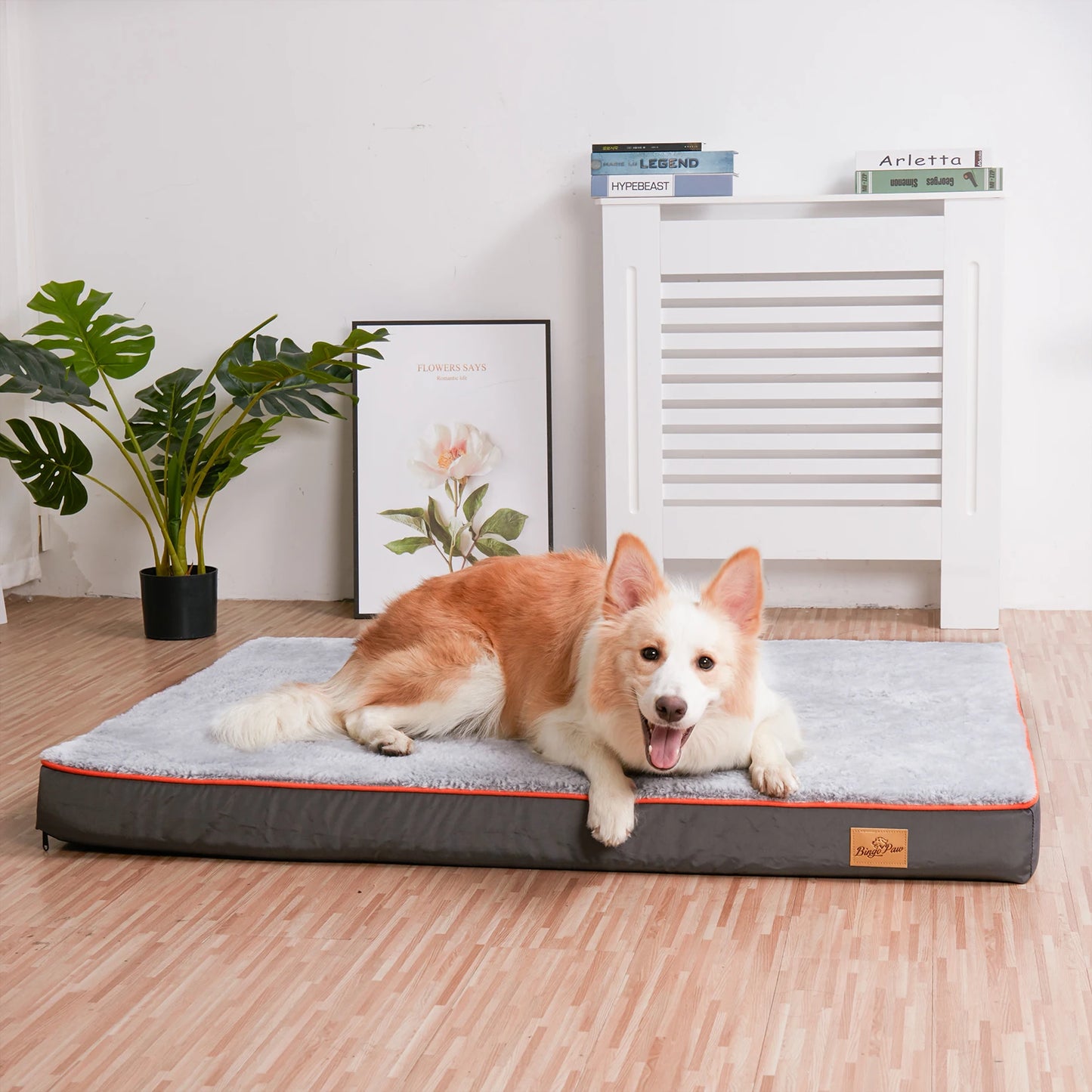 Orthopedic Waterproof Dog Bed