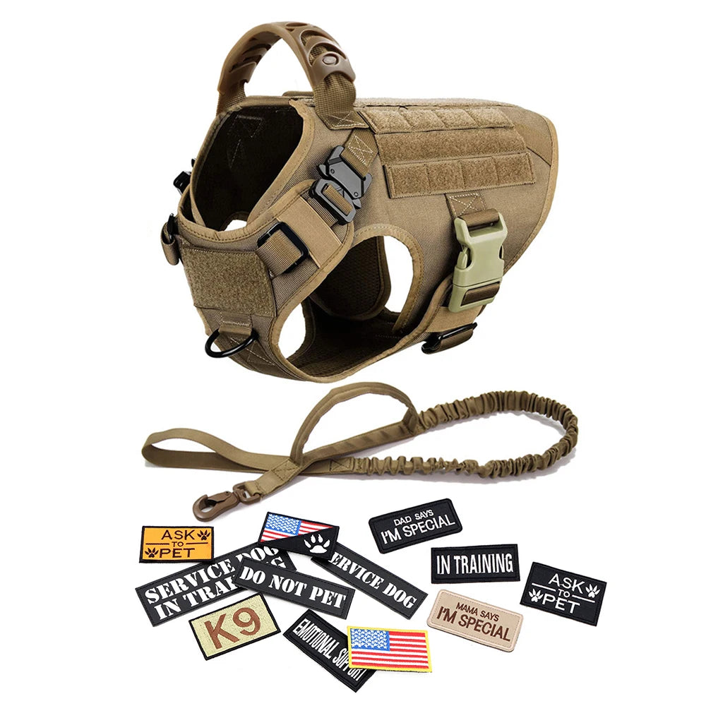 Large Dog Harness, Leash and Collar  with Patches