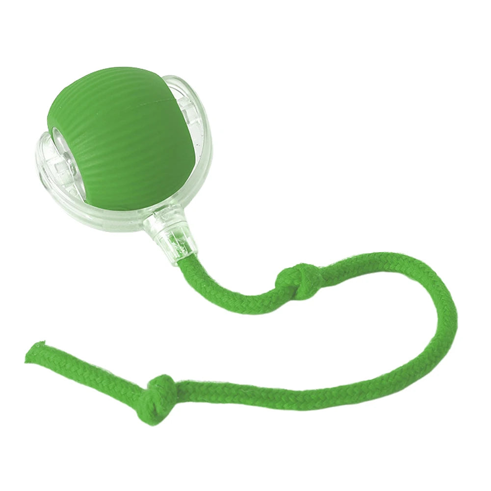 Interactive Automatic Rolling Ball for Cats/Dogs, Rechargeable