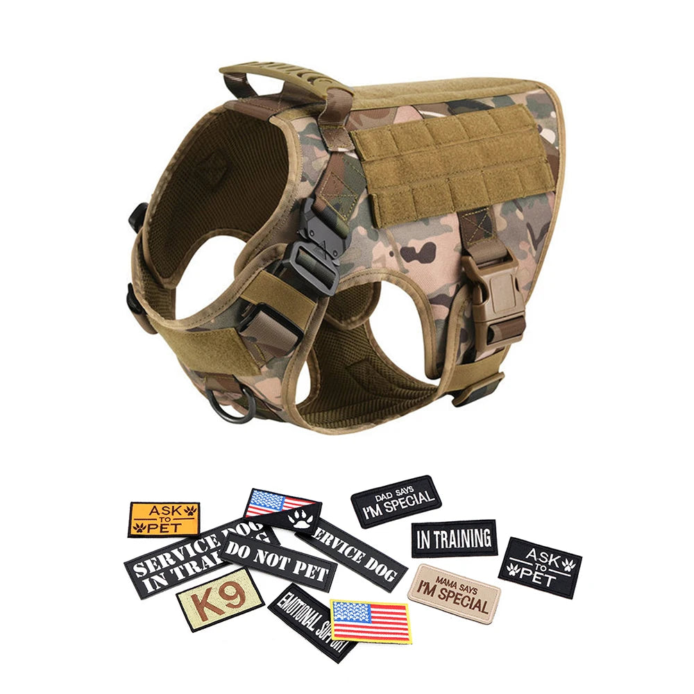 Large Dog Harness, Leash and Collar  with Patches