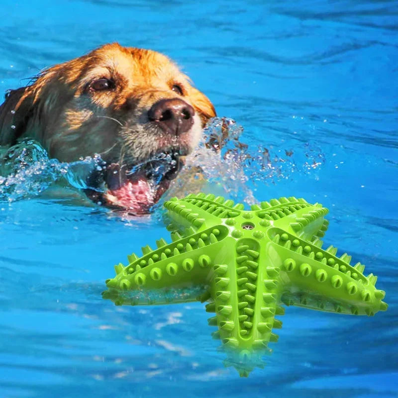 Teeth Cleaning Dog Chew Toy