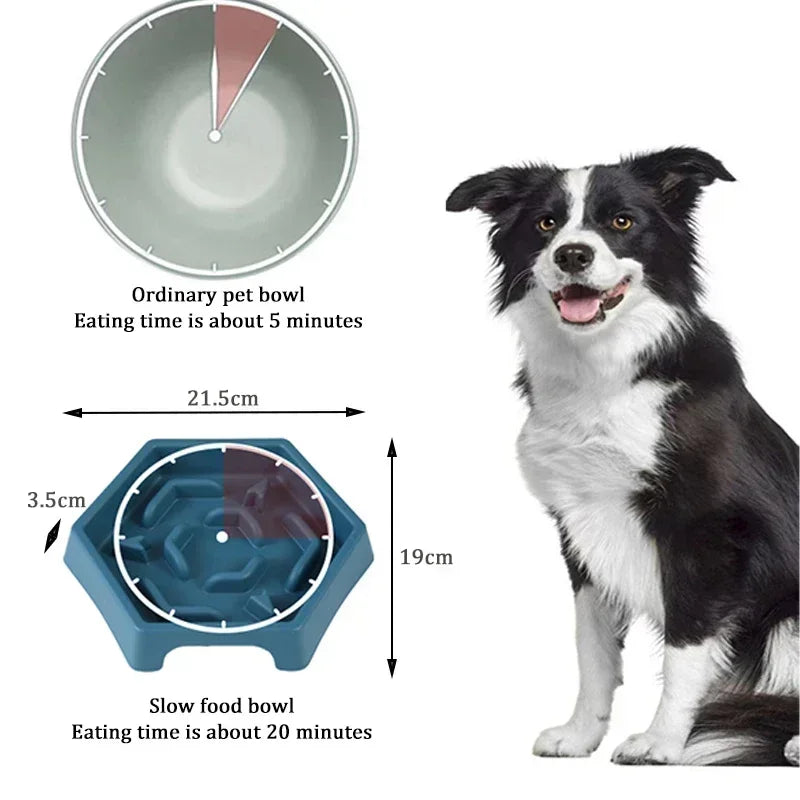 Slow Feeder Food Bowl
