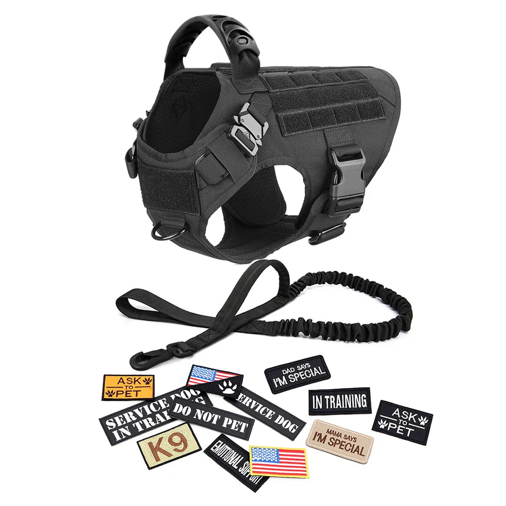 Large Dog Harness, Leash and Collar  with Patches