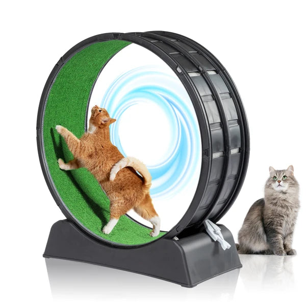 Cat Exercise Wheel