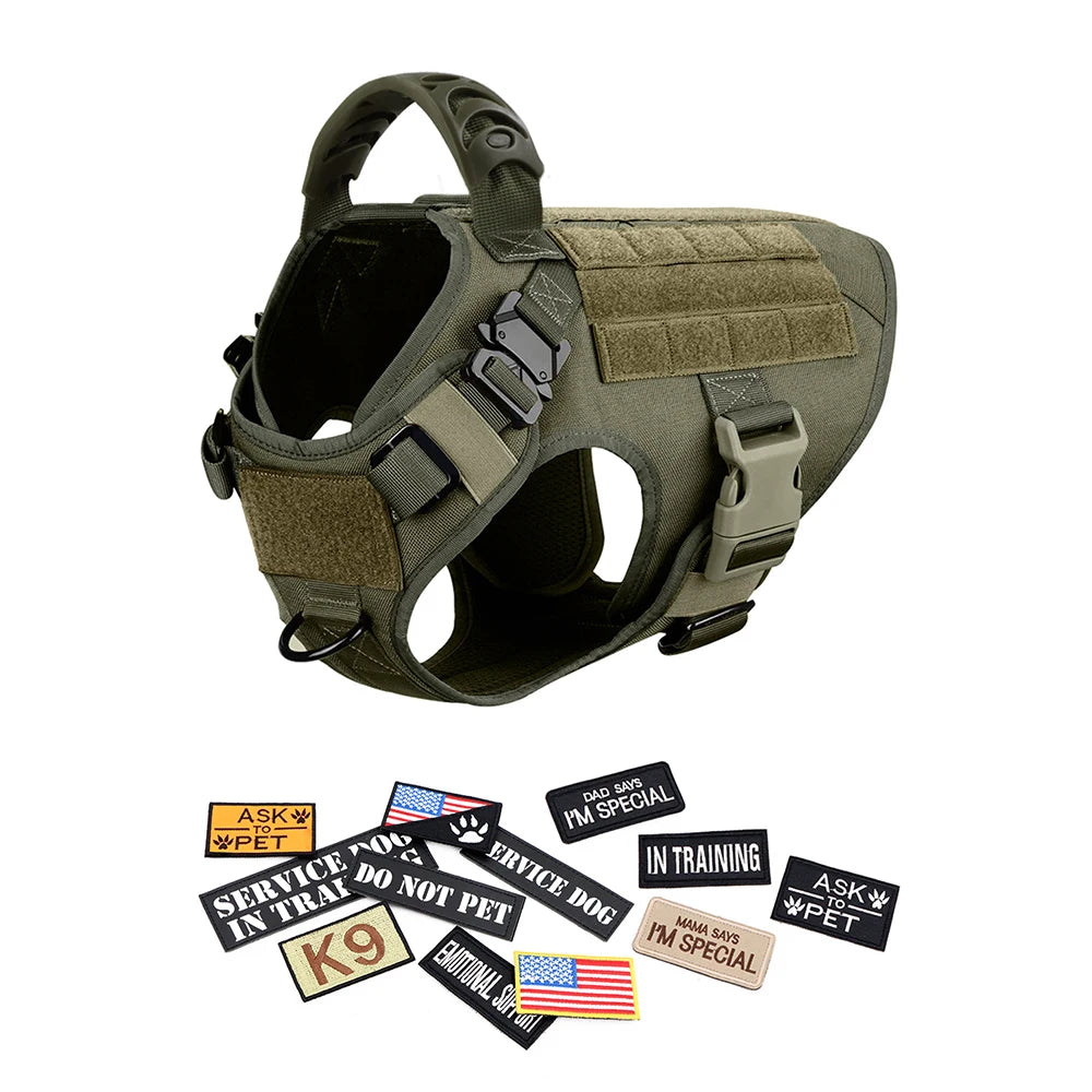 Large Dog Harness, Leash and Collar  with Patches