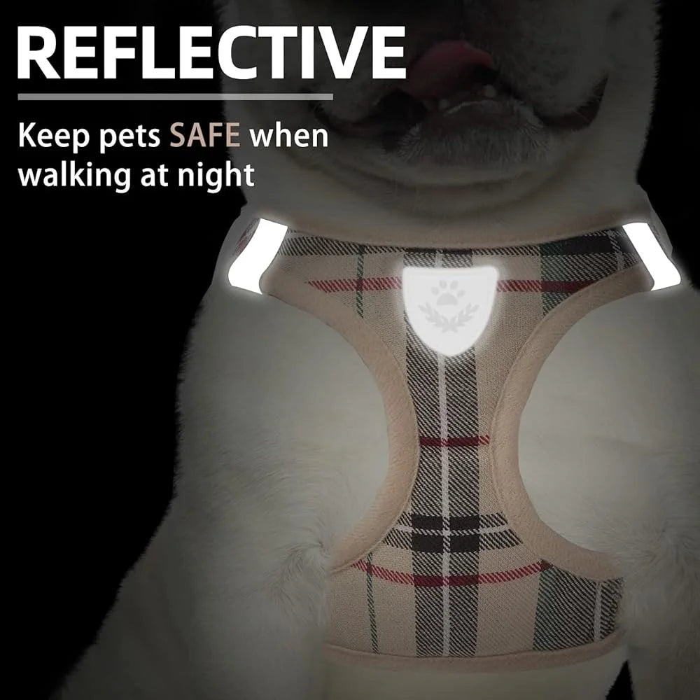 No Pull Dog Harness, Collar and Leash Set