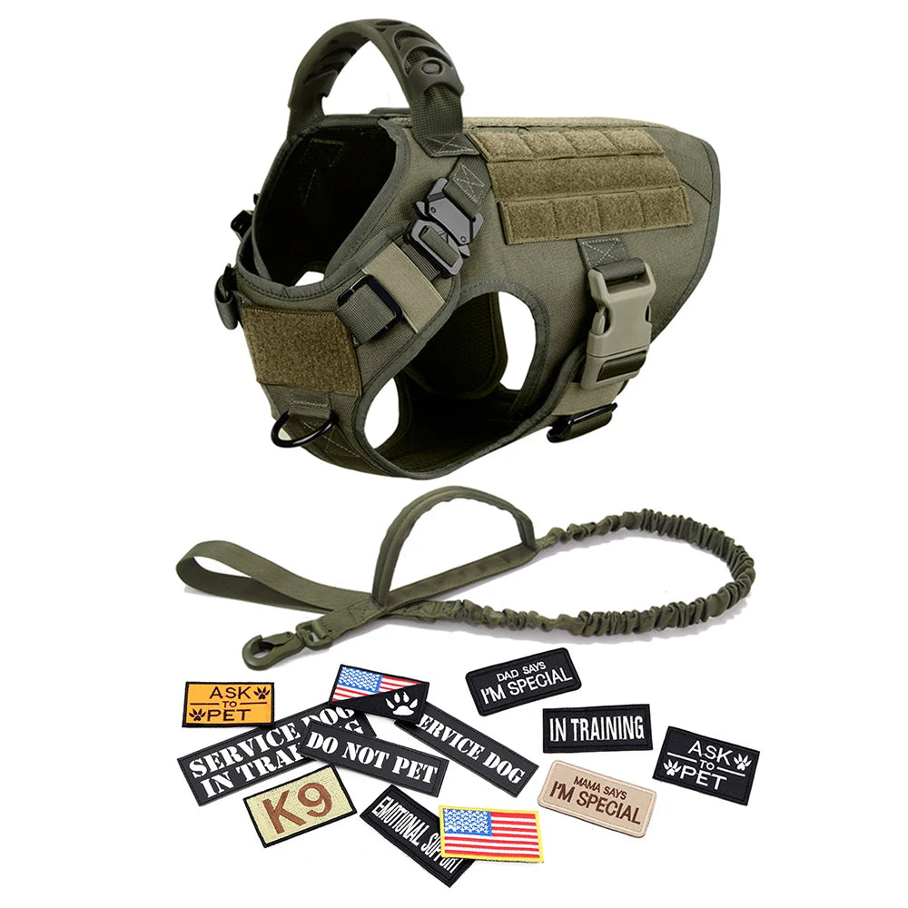 Large Dog Harness, Leash and Collar  with Patches