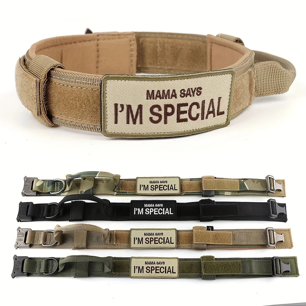 Large Dog Harness, Leash and Collar  with Patches