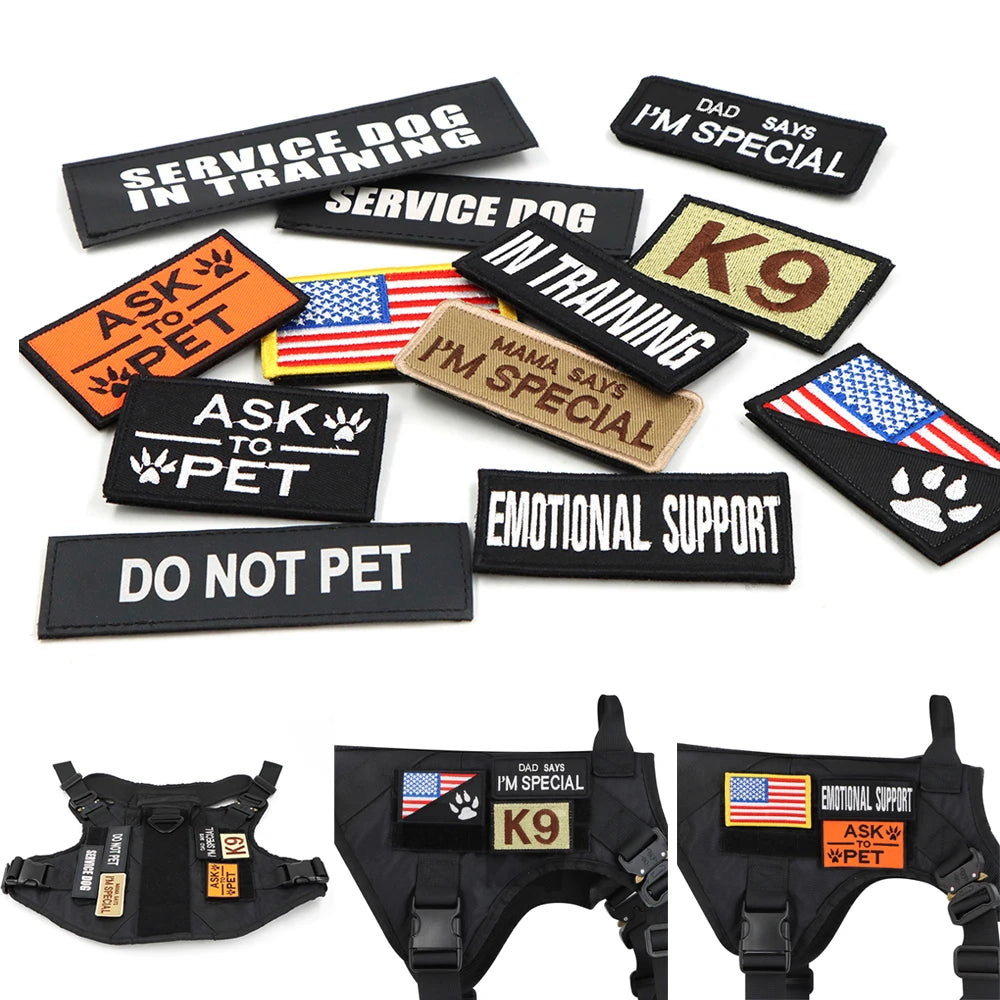 Large Dog Harness, Leash and Collar  with Patches