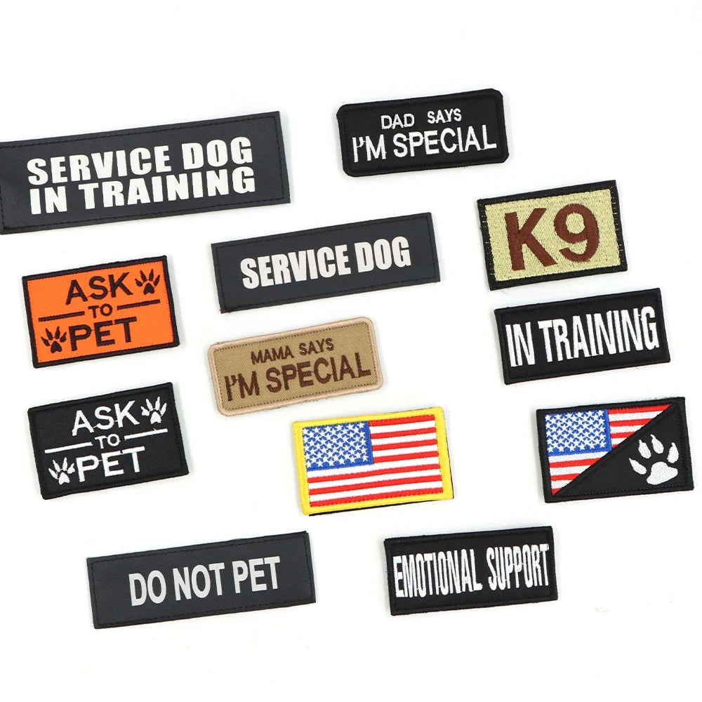 Large Dog Harness, Leash and Collar  with Patches