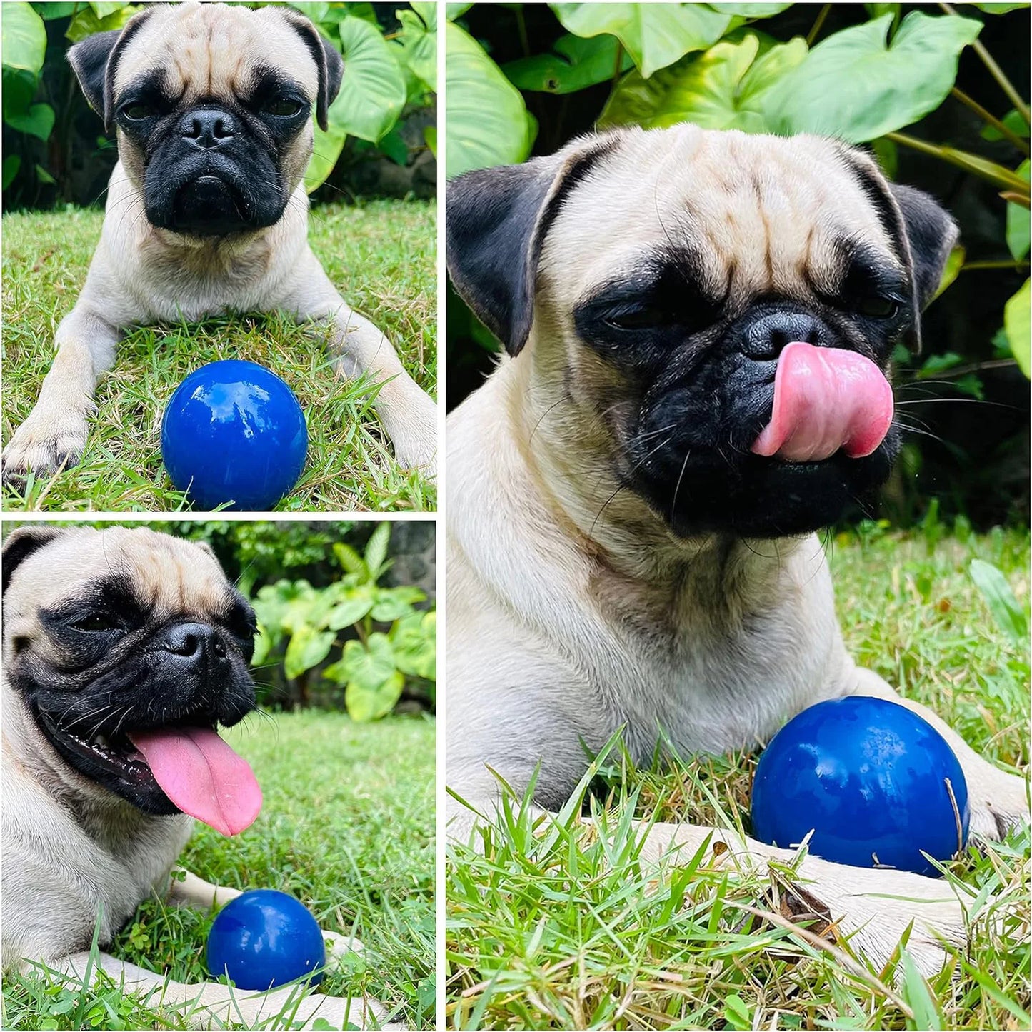 Super Chewy Tough Dog Ball Toy