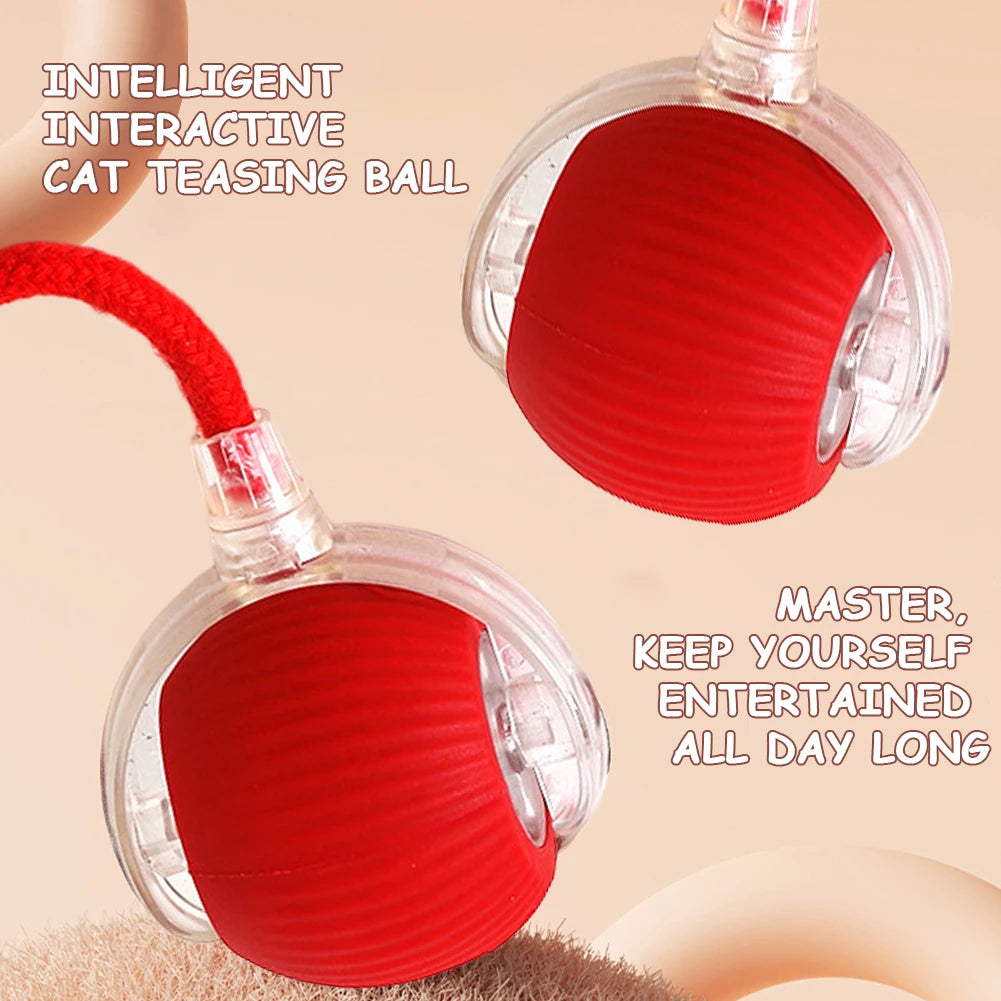 Interactive Automatic Rolling Ball for Cats/Dogs, Rechargeable