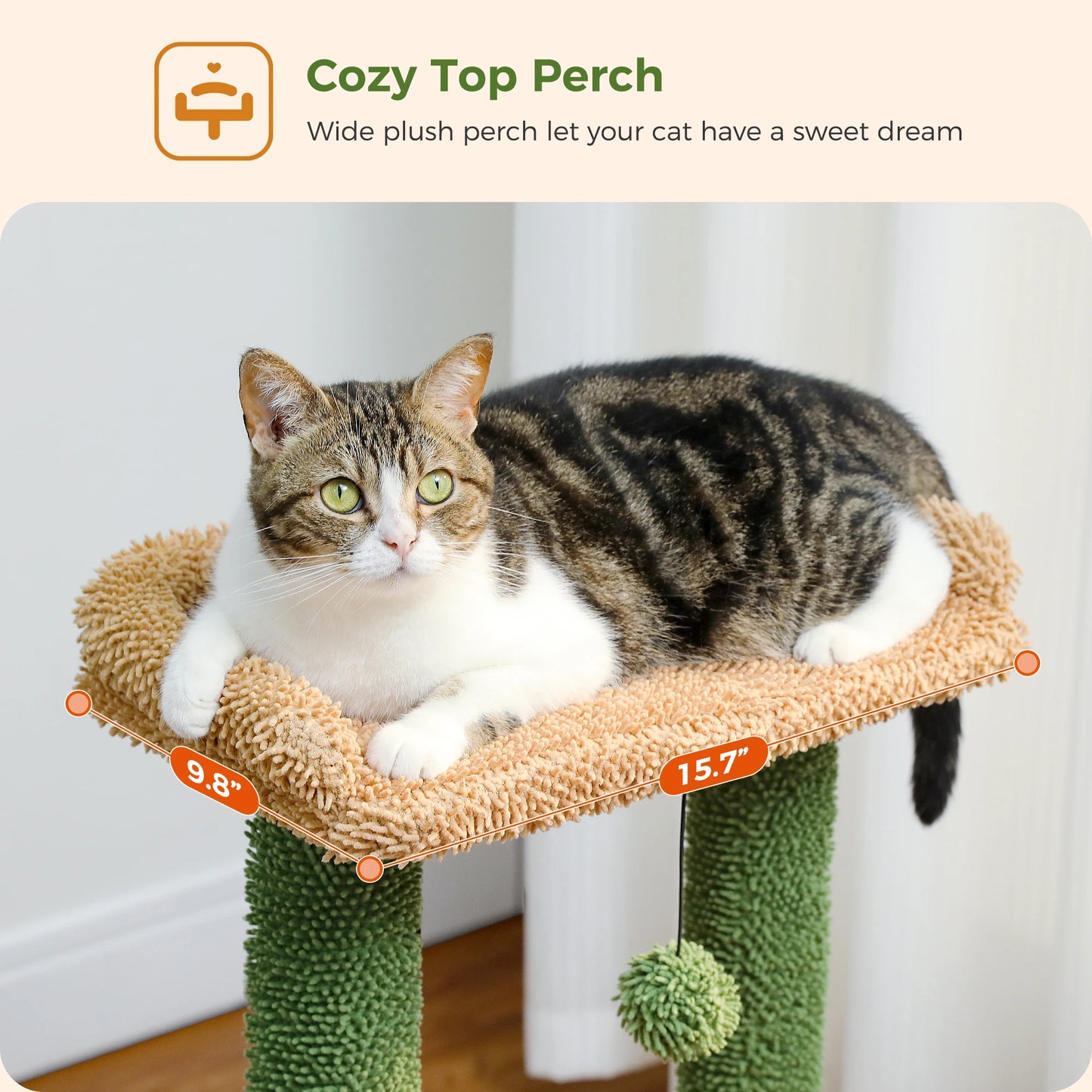 Multi-Level Cat Tower with Scratching Posts