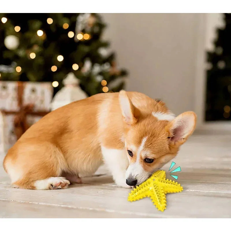 Teeth Cleaning Dog Chew Toy