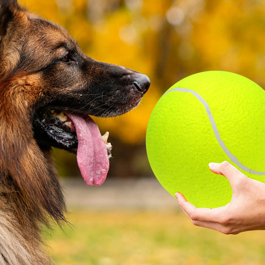 9.5‘’ Oversize Giant Tennis Balls