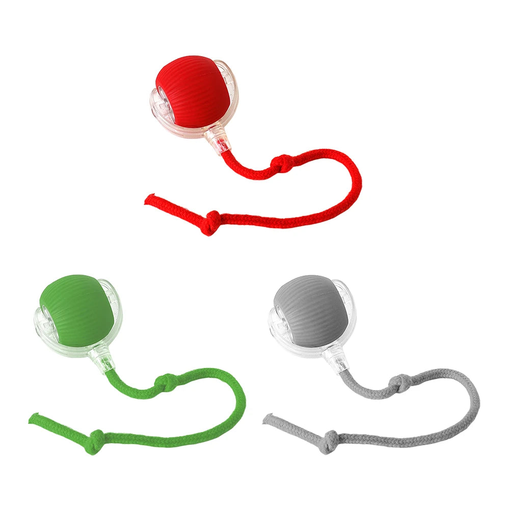 Interactive Automatic Rolling Ball for Cats/Dogs, Rechargeable