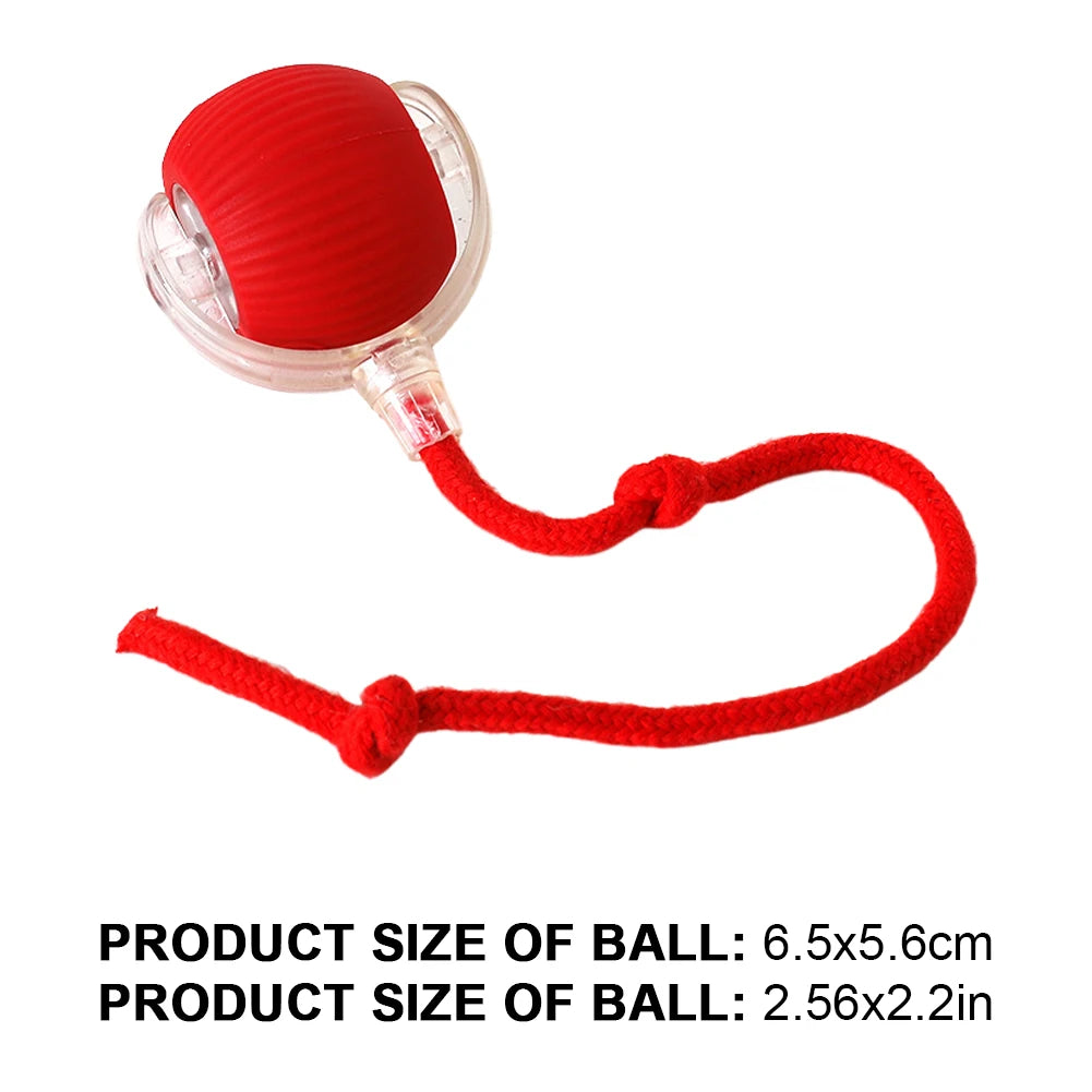 Interactive Automatic Rolling Ball for Cats/Dogs, Rechargeable