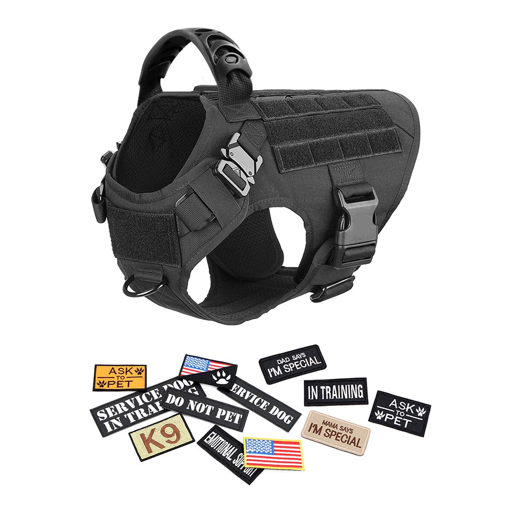 Large Dog Harness, Leash and Collar  with Patches