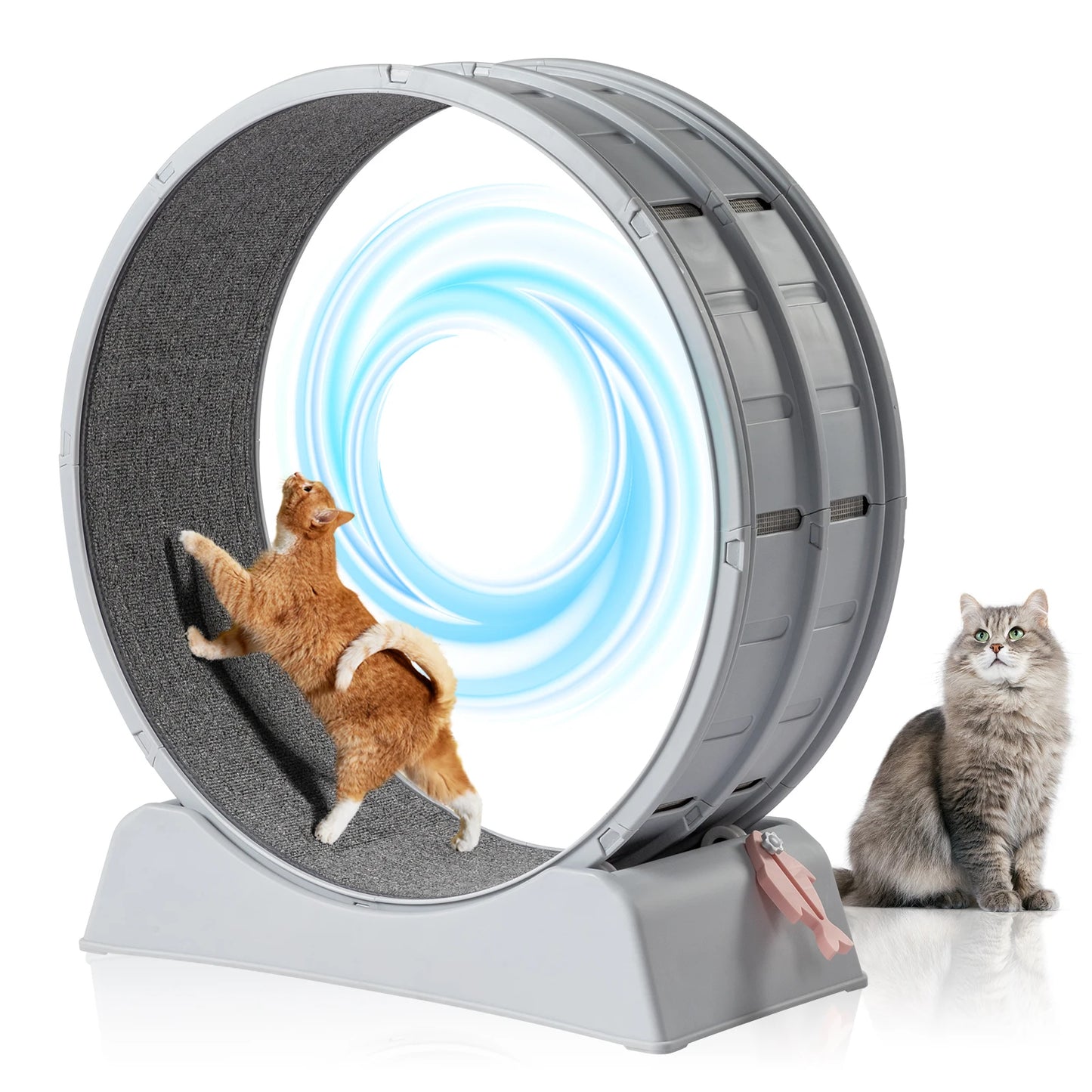 Cat Exercise Wheel