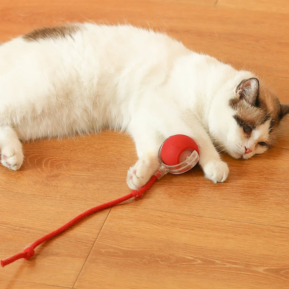 Interactive Automatic Rolling Ball for Cats/Dogs, Rechargeable