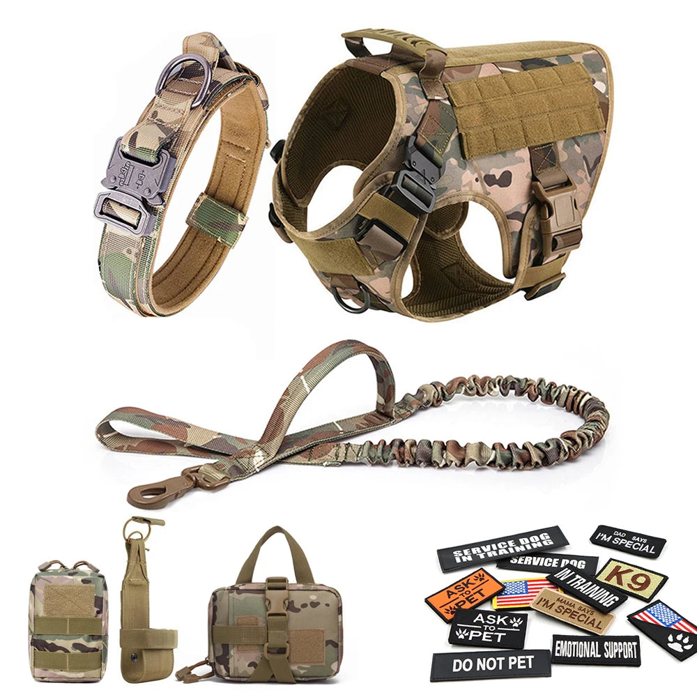 Large Dog Harness, Leash and Collar  with Patches