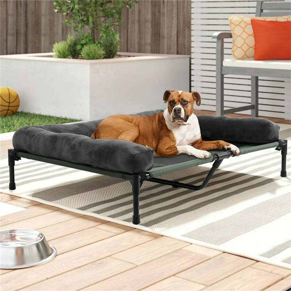 Elevated Pet Lounger Bed