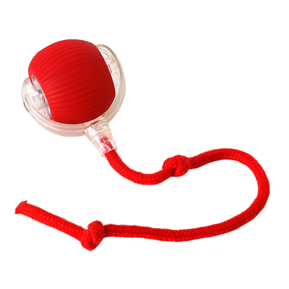 Interactive Automatic Rolling Ball for Cats/Dogs, Rechargeable