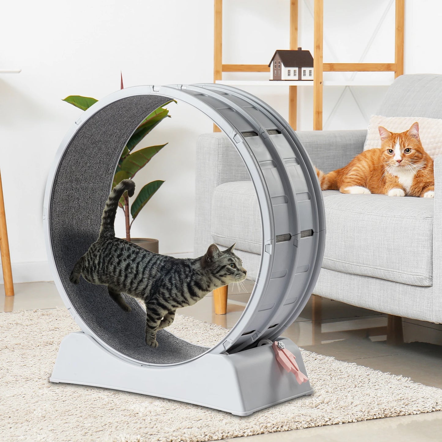 Cat Exercise Wheel