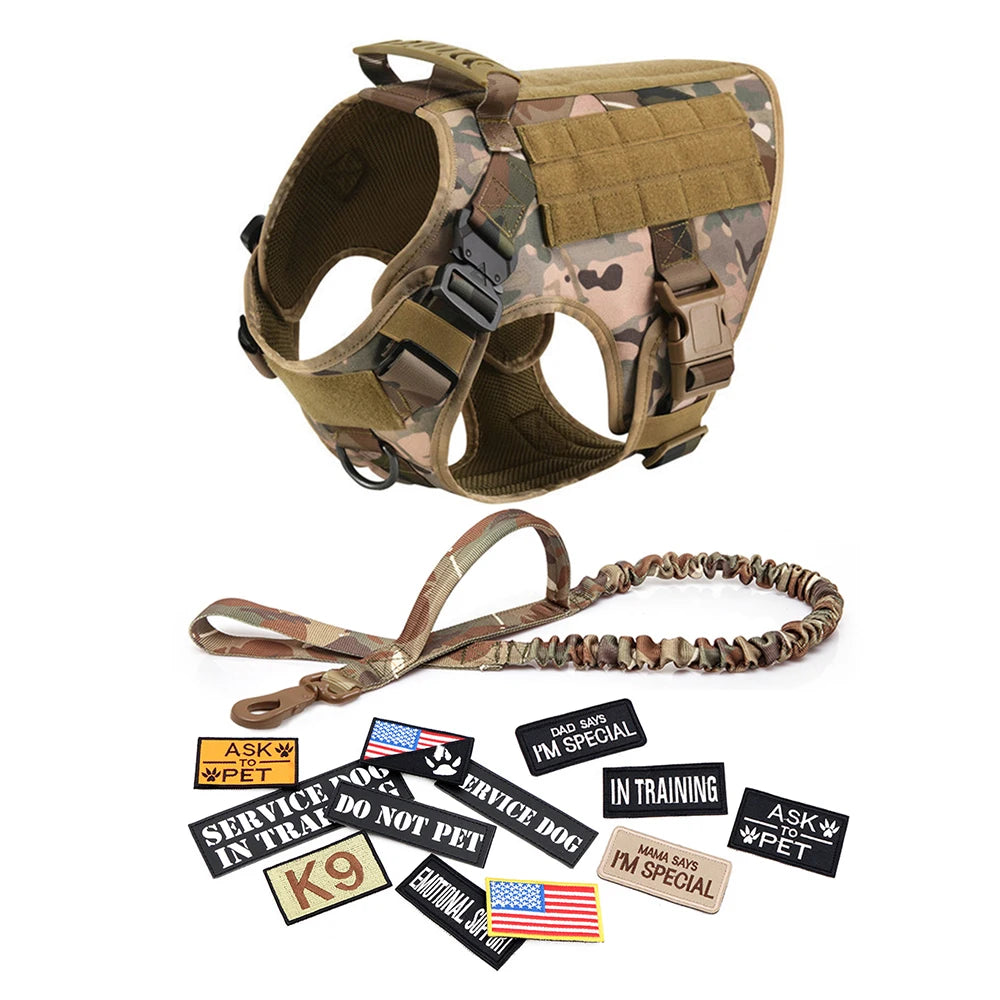 Large Dog Harness, Leash and Collar  with Patches