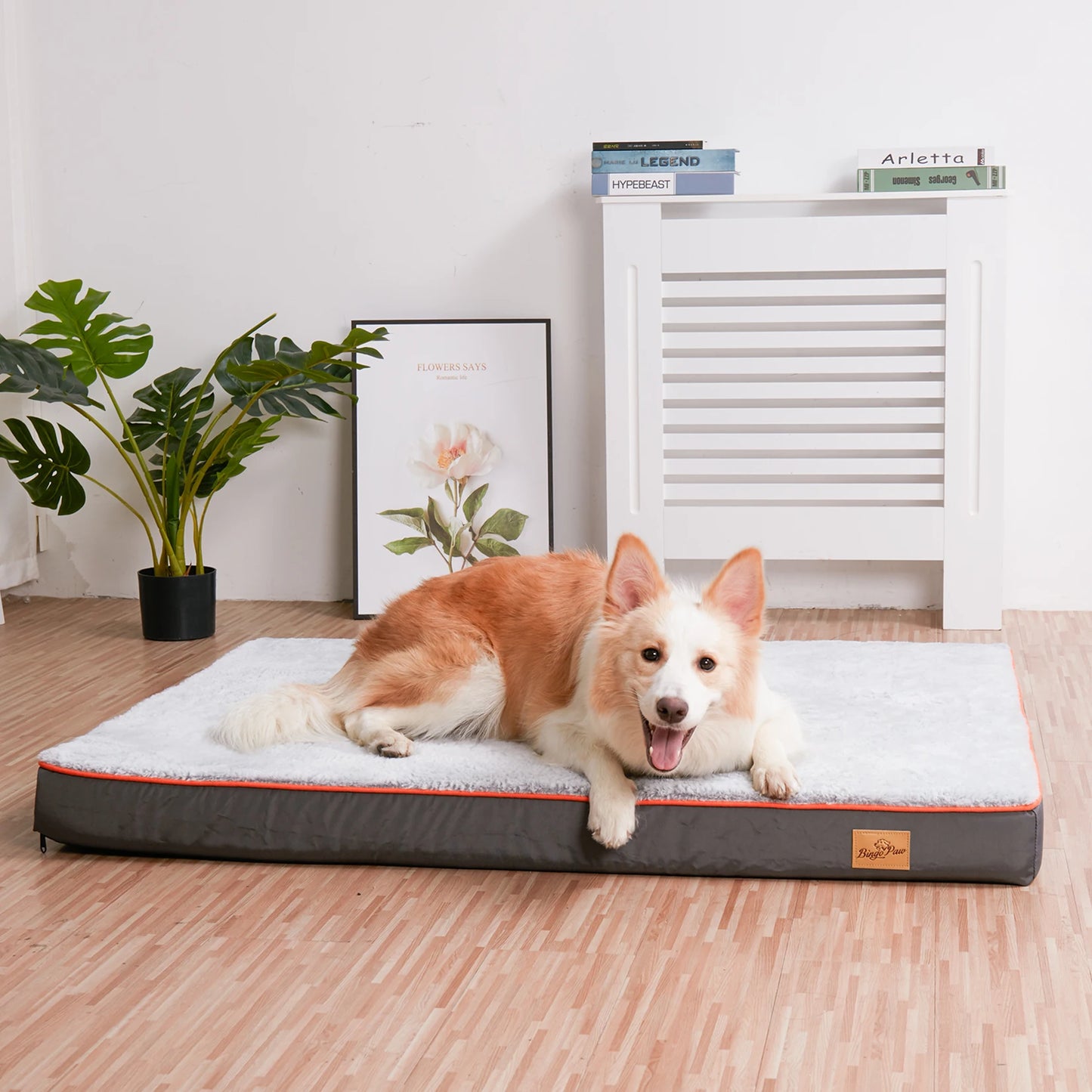 Orthopedic Waterproof Dog Bed