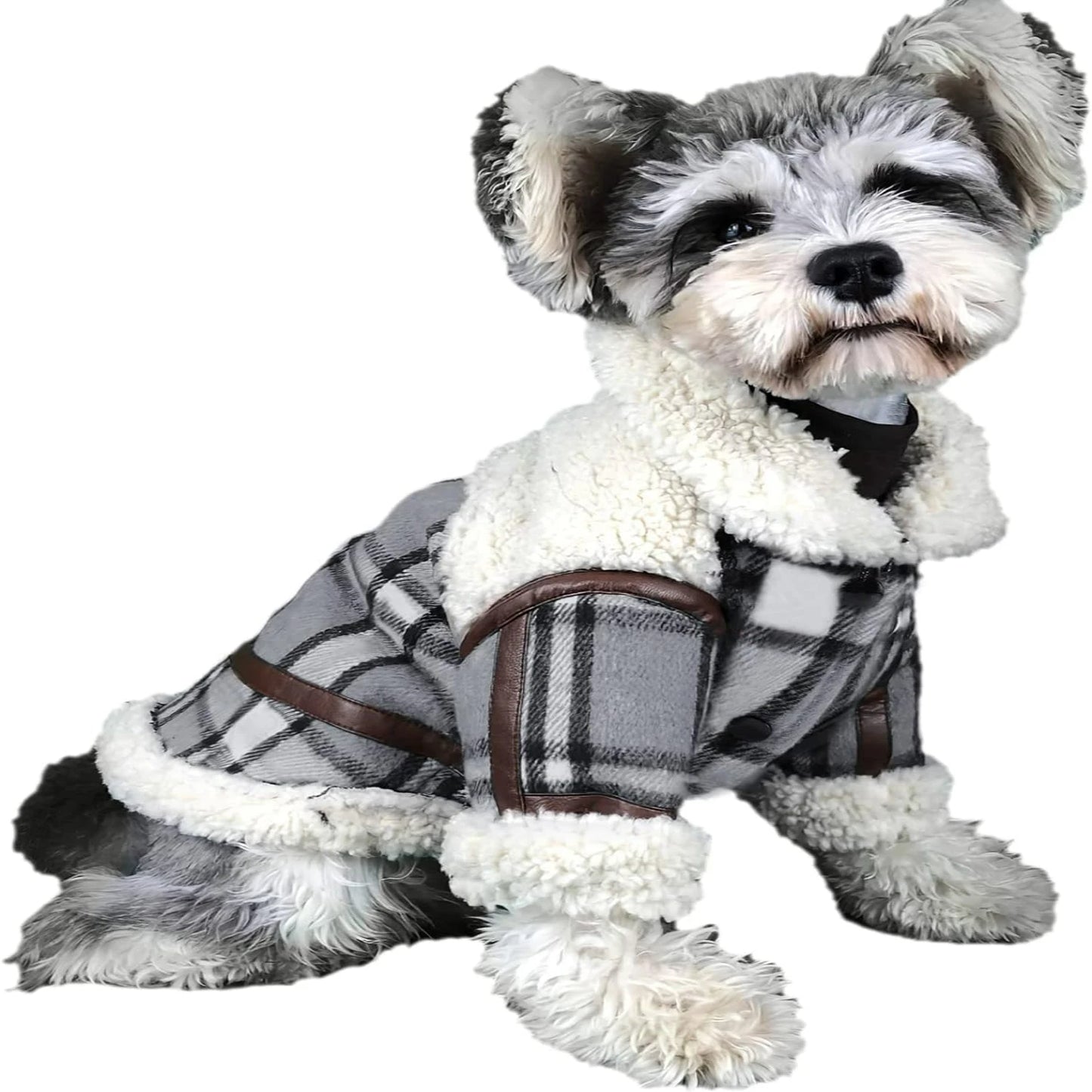 Stylish Black Sweater Jacket for small dogs