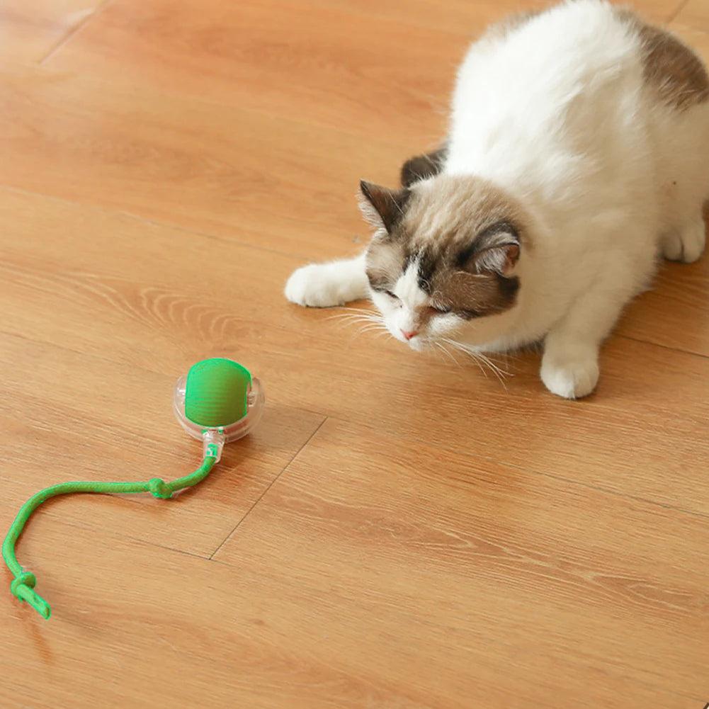 Interactive Automatic Rolling Ball for Cats/Dogs, Rechargeable