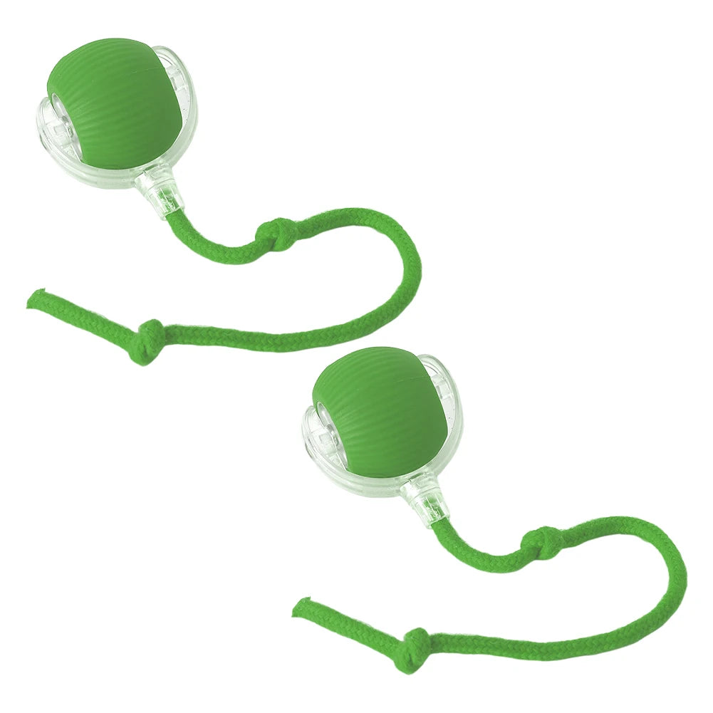 Interactive Automatic Rolling Ball for Cats/Dogs, Rechargeable